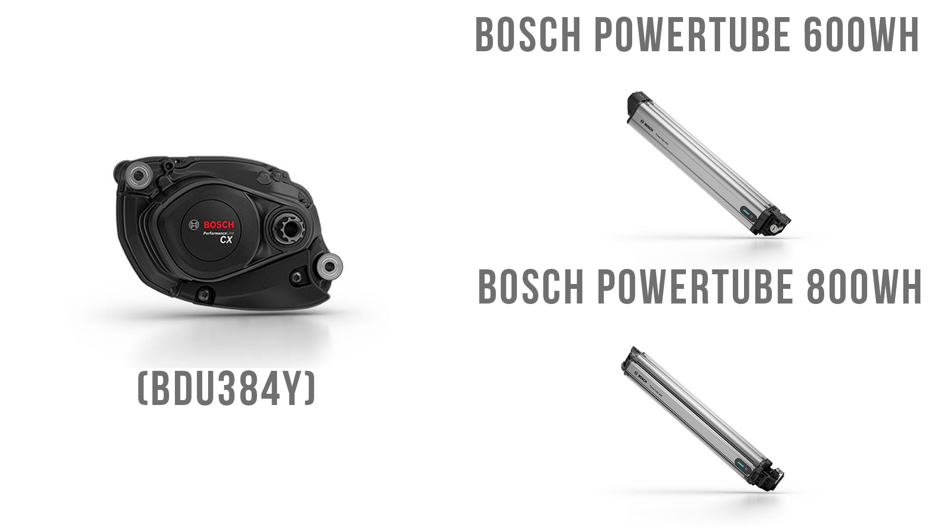 Bosch performance line cx and battery bosch powertube